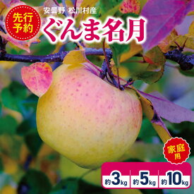 【ふるさと納税】【2026年先行予約】訳あり 家庭用 ぐんま名月 約3kg / 5kg / 10kg ｜ 山とりんご リンゴ りんご 林檎 果物 フルーツ 果実 果汁 ぐんま名月 ぐんまめいげつ 家庭用 長野県 松川村 北アルプス 信州