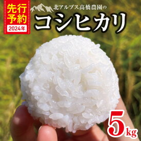 【ふるさと納税】 北アルプス 高橋農園のコシヒカリ 5kg お米 コシヒカリ 米 白米 長野県 松川村