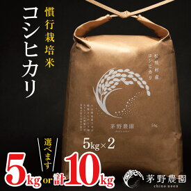 【ふるさと納税】コシヒカリ 慣行栽培米 選べる 内容量 5kg / 10kg | 茅野農園 米 こめ コメ お米 白米 はくまい 精米 コシヒカリ 慣行栽培米 栽培米 長野県 松川村 信州