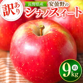 【ふるさと納税】【2024年 令和6年度発送 先行予約】 訳あり 安曇野の シナノスイート 約9kg 果物類 林檎 りんご リンゴ フルーツ 長野県 松川村