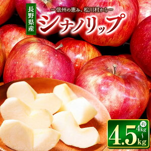 yӂ邳Ɣ[ŁzVimbv 4`4.5kg y2026Ns\zb 󕽗є_ S  ь ʕ t[c ʎ ʏ` Vimbv 쌧 쑺