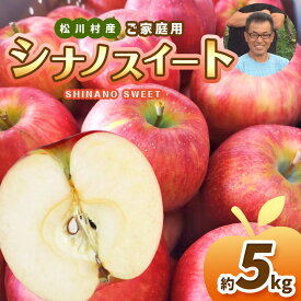 【ふるさと納税】家庭用 シナノスイート 約5kg 【2026年先行予約】 | 北條農園 家庭用 果物類 林檎 りんご リンゴ シナノスイート シナノ3兄弟 長野県 松川村 まつかわ 長野 信州