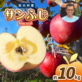 【ふるさと納税】家庭用 サンふじ（秀） 約10kg ｜ 北條農園 リンゴ りんご 林檎 果物 フルーツ 果実 果汁 家庭用 サンふじ さんふじ 長野県 松川村 信州