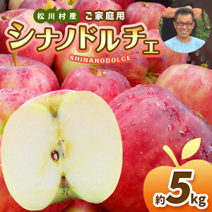 �y�ӂ邳�Ɣ[�Łz�ƒ�p �V�i�m�h���`�F ��5kg �y2026�N��s�\��z �b �k���_�� �����S ��� �ь� �ʕ� �t���[�c �ʎ� �ʏ` �V�i�m�h���`�F ���Ȃ̃h���`�F �ƒ�p �킯���� ��A�� ���쌧 