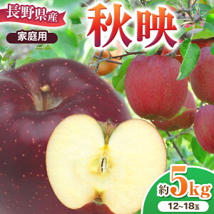 yӂ邳Ɣ[Łz *y2025Ns\zƒp Hf 5kg b k_ S  ь ʕ t[c ʎ ʏ` Hf ƒp 쌧 쑺 MB