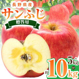 【ふるさと納税】 贈答用 サンふじ 約 5kg ・ 約 10kg 【2026年先行予約】 ｜ 北條農園 リンゴ りんご 林檎 果物 フルーツ 果実 果汁 サンふじ サンフジ 贈答用 長野県 松川村 信州