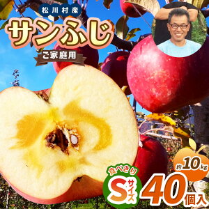 yӂ邳Ɣ[Łz *y2025Ns\z ƒp Tӂ HׂSTCY 40 10kg b k_ S  ь ʕ t[c ʎ ʏ` Tӂ ӂ STCY HׂTCY 