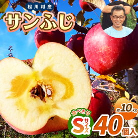 【ふるさと納税】 サンふじ 食べきりSサイズ 40個入り 約10kg 【2026年先行予約】 ｜ 北條農園 リンゴ りんご 林檎 果物 フルーツ 果実 果汁 サンふじ さんふじ Sサイズ 食べきりサイズ 家庭用 長野県 松川村 信州