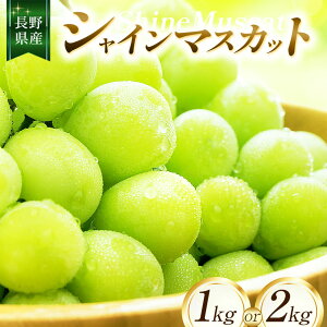yӂ邳Ɣ[ŁzVC}XJbg 1kgE2kg y2025Ns\z | ̂ӂ[ ʕ Ԃǂ  VC}XJbg t[c ʕ fU[g H  ʏ` 炲 W[V[ {Y 