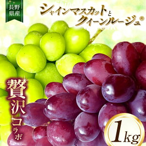 yӂ邳Ɣ[ŁzVC}XJbg  NC[[WR ̃R{1kg y2025Ns\z | ̂ӂ[ ʕ Ԃǂ  VC}XJbg NC[[W t[c ʕ fU[g 