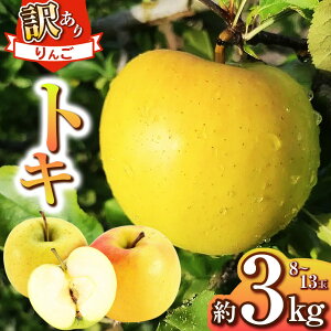 yӂ邳Ɣ[Łz󂠂 gL 3kgy2026Ns\ z | _ S  ь ʕ  t[c ʎ ʏ`gL 󂠂 쌧 쑺 MB