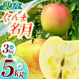 【ふるさと納税】訳あり ぐんま名月 3kg ・ 5kg 【2026年先行予約】｜ 浅野農園 リンゴ りんご 林檎 果物 くだもの フルーツ 果実 果汁 訳あり ぐんま名月 長野県 松川村 信州