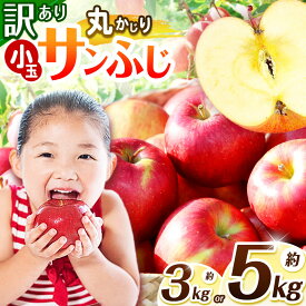 【ふるさと納税】訳あり サンふじ 丸かじりSSサイズ ( 3kg / 5kg ) 【2026年先行予約】 ｜ 浅野農園 リンゴ りんご 林檎 果物 くだもの フルーツ 果実 果汁 訳あり 小玉 丸かじり SSサイズ サンふじ 長野県 松川村 信州