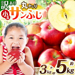 yӂ邳Ɣ[Łz󂠂 Tӂ ۂSSTCY 3kg E 5kg y2025Ns\zb _ S  ь ʕ  t[c ʎ ʏ` 󂠂  ۂ SSTCY Tӂ 