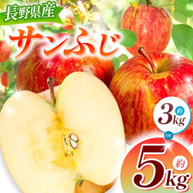 【ふるさと納税】サンふじ 3kg ・ 5kg 【2025年先行予約】｜ 浅野農園 リンゴ りんご 林檎 果物 くだもの フルーツ 果実 果汁 サンふじ 長野県 松川村 信州 北アルプス