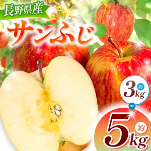 yӂ邳Ɣ[ŁzTӂ 3kg E 5kg y2025Ns\zb _ S  ь ʕ  t[c ʎ ʏ` Tӂ 쌧 쑺 MB kAvX