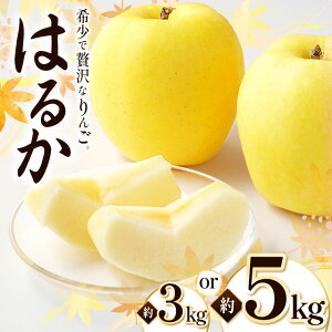 �y�ӂ邳�Ɣ[�Łz�͂邩 3kg �E 5kg �y2026�N��s�\��z �b ���_�� �����S ��� �ь� �ʕ� �������� �t���[�c �ʎ� �ʏ` �͂邩 ���쌧 ���쑺 �M�B �k�A���v�X