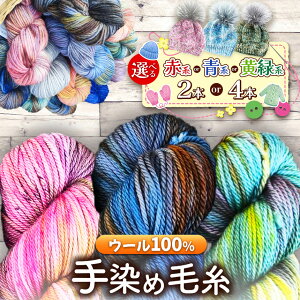 yӂ邳Ɣ[Łzю E[100 ߖюij Iׂ{EFy2{ or 4{zyԌnEnEΌnzb ю E[ E[100  ٖD | 쌧 쑺 MB