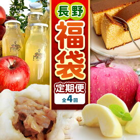 【ふるさと納税】 【定期便4回】松川村 の魅力が詰まった 満喫セット ｜ 定期便 福袋 満喫セット 季節限定 りんごジュース リンゴジュース カステラ かすてら 洋菓子 豚まん りんご リンゴ 林檎 シナノスイート 長野県 松川村 信州