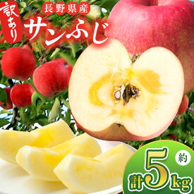 【ふるさと納税】 訳あり サンふじ 5kg 信州産 【2026年先行予約】｜ ベジサコ リンゴ りんご 林檎 果物 フルーツ 果実 果汁 サンふじ さんふじ わけあり 訳アリ 長野県 松川村 信州