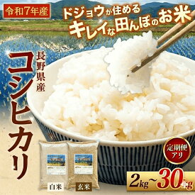 【ふるさと納税】コシヒカリ どじょうのいる田んぼのお米 信州安曇野松川村産｜白米・玄米 選べる（2kg・5kg・10kg・大容量・定期便）有機肥料 低農薬 自然栽培 安曇野米 ごはん ライス 長野県 松川村 信州 送料無料 国産米 産地直送 農家直送 新米対応