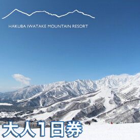 【ふるさと納税】白馬岩岳スノーフィールド 大人1日券1枚（中学生以上）長野県白馬村 HAKUBA IWATAKE スキー チケット パウダースノー ゲレンデ 北アルプス 白馬岩岳スノーフィールド おすすめ 人気 ウィンタースポーツ ギフト 贈答
