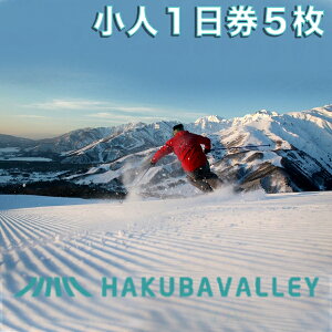 yӂ邳Ɣ[ŁzHAKUBA VALLEY 10XL[ꋤ1 ǂ i6Έȏ12ΈȉΏہj IׂIy1E3E5z@쌧nEJE咬s@kAvX@no[@Qf@XL
