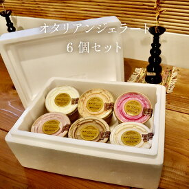 【ふるさと納税】オタリアンジェラート6個セット | カップアイス 詰め合わせ 信州産 国産 さるなし 山ぶどう 濃厚ミルク 小谷村 ふるさと納税