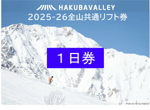 yӂ邳Ɣ[ŁzHAKUBA VALLEY 10XL[ꋤ1i2jb̂ nܗ Hakuba47 n nx ̒r nƉ nR`i  Kx XL[`Pbg yA`Pbg