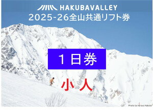 yӂ邳Ɣ[ŁzHAKUBA VALLEY 10XL[ꋤ1li2j6΁`12΁b̂ nܗ Hakuba47 n nx ̒r nƉ nR`i  Kx XL[`Pb