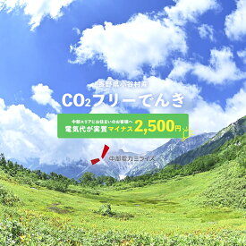 【ふるさと納税】小谷村産CO2 フリーでんき （注：お申込み前に申込条件を必ずご確認ください）／中部電力ミライズ 電気 電気代 節約 エネルギー 長野県 小谷村