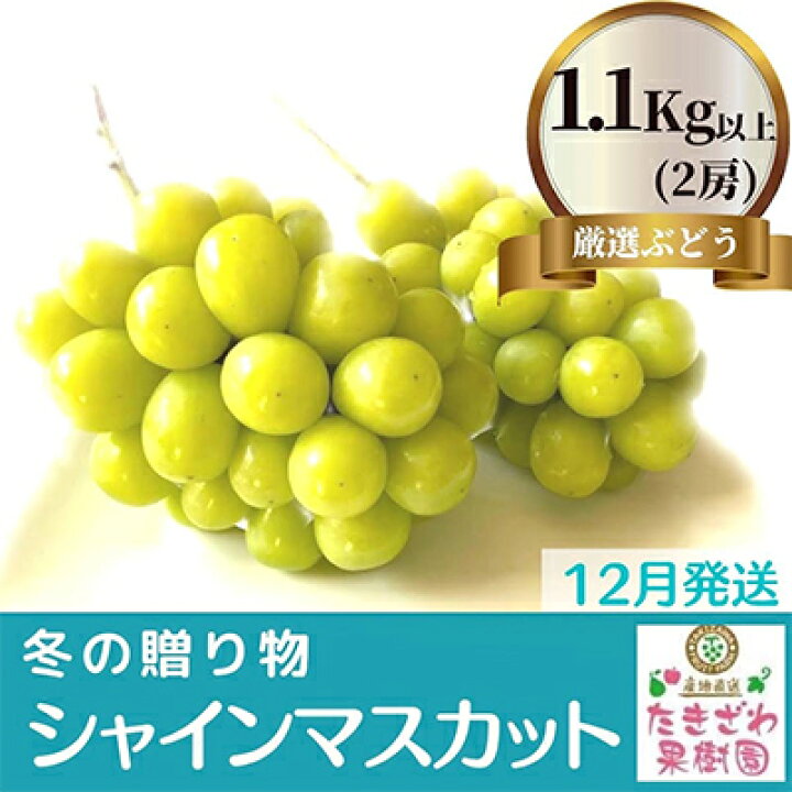 激安商品 冷蔵シャインマスカット約1.1kg 約2房 《田子農園》2022年発送※11月上旬頃〜12月中旬頃まで順次発送予定 果物類 フルーツ 果物 ぶどう 訳あり 冷蔵 fucoa.cl 激安商品 冷蔵シャインマスカット約1.1kg 約2房 《田子農園》2022年発送※11月上旬頃〜12月中旬頃まで順次発送予定 果物類 フルーツ 果物 ぶどう 訳あり 冷蔵 fucoa.cl