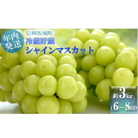 【ふるさと納税】【11・12月発送】冬に味わう！冷蔵貯蔵シャインマスカット 約3kg (6～8房) 長野 信州 坂城 冷蔵シャイン 産地直送 宮原農園　 年内発送　【ぶどう・ブドウ・フルーツ・マスカット・シャインマスカット・約3kg・種なし】　お届け：2024年11月中旬～12月下旬