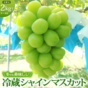 yӂ邳Ɣ[Łzy11E12zxR̗①VC}XJbg 2kgȏi3-4[j MB  YnzsGA聦 ʕ Ԃǂ uhE t[c @͂F2025N11