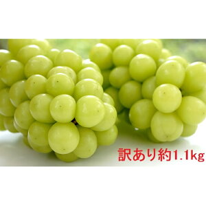 yӂ邳Ɣ[ŁzinEԌj󂠂؉ʎ̃VC}XJbg1.1kg ʕ Ԃǂ t[c  fU[g H H̖o Yn 쌧Y L@엿 @͂F2025N9