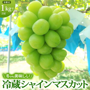 yӂ邳Ɣ[ŁzyN͂z VC}XJbg ① 1kgȏ xR Ԃǂ  }XJbg uhE t[c ʕ VCy ʕ z fU[g H  炲 햳 