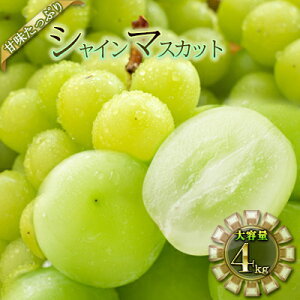yӂ邳Ɣ[ŁzVC}XJbg 4kg ʕ Ԃǂ t[c 4kg @͂F2025N9{`11{