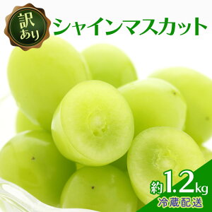 yӂ邳Ɣ[Łz󂠂 VC}XJbg 1.2kg  Vʎ Ԃǂ  }XJbg uhE t[c ʕ VC@͂F2025N9{`11{
