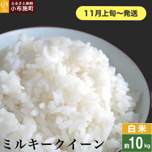yӂ邳Ɣ[Łz ~L[NC[  5kg 10kg IׂeʁmԂt@[}[Yn    Ђ 쌧Yy2025N11{`z
