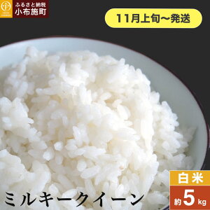 yӂ邳Ɣ[Łz ~L[NC[  5kg 10kg IׂeʁmԂt@[}[Yn    Ђ 쌧Yy2025N11{`z