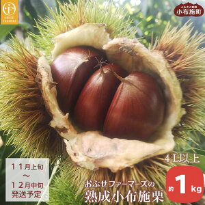 yӂ邳Ɣ[Łz nz{I 1kg 4LȏmԂt@[}[Yn I  ʕ t[c N[ ① 쌧Y MBY s\ ʌ ߘa7NY y2025N11{`12{