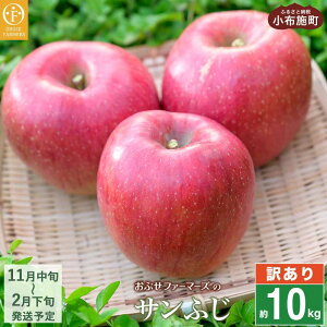 yӂ邳Ɣ[Łzy󂠂z Tӂ Iׂe 3kg 6`12 5kg 11`18 10kg 26`40 mԂt@[}[Yn ʕ t[c  s KiO ƒp ь S ӂ 쌧 