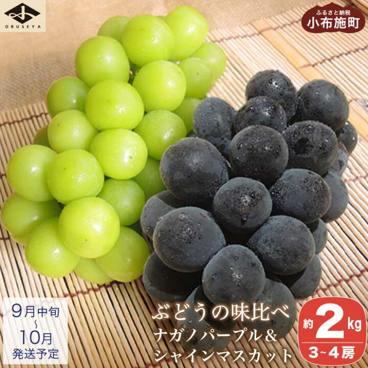 楽天市場 ふるさと納税 高級ぶどう味比べ詰合せ 約2kg ナガノパープル シャインマスカット 小布施屋 22年9月中旬 下旬発送 詰め合わせ セット 食べ比べ 先行予約 数量限定 詰合せ 果物 フルーツ ぶどう 葡萄 長野県産 信州産 デザート クール便 冷蔵便