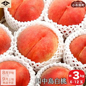 【ふるさと納税】 川中島白桃 約3kg 6～12玉 ［小布施屋］ 桃 白桃 もも モモ フルーツ 果物 長野県産 信州産 クール便 冷蔵便 令和6年産【2024年8月下旬～9月上旬発送】