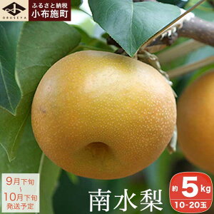 yӂ邳Ɣ[Łz쐅 5kg 10`20 mz{nʕ t[c Ȃ  s\ ʌ  Mtg 쌧Y MBY ߘa7NY y2025N9{`10{z