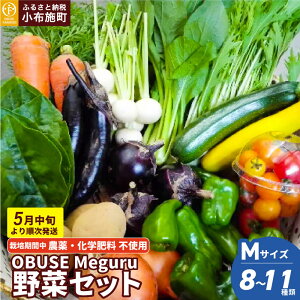 yӂ邳Ɣ[Łzm͔|Ԓ_Ew엿sgpn OBUSE Meguru ؃Zbg mԂt@[}[YnIׂe S 7`10 M 8`11 L 9`13  lߍ킹 l _sgp 