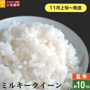 yӂ邳Ɣ[Łz ~L[NC[  5kg 10kg IׂeʁmԂt@[}[Yn    Ђ 쌧Y y2025N11{`z
