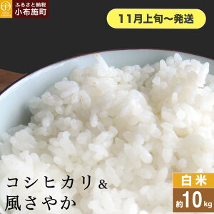 yӂ邳Ɣ[Łz ĐHה 10kg Iׂi RVqJ ₩ ~L[NC[ m Ԃt@[}[Y n  R    쌧Y 2y2025N11{`z