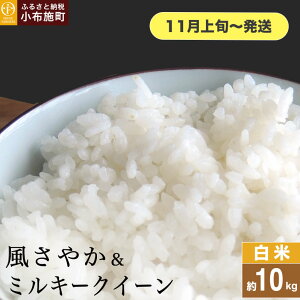 yӂ邳Ɣ[Łz ĐHה 10kg Iׂi RVqJ ₩ ~L[NC[ m Ԃt@[}[Y n  R    쌧Y 2y2025N11{`z