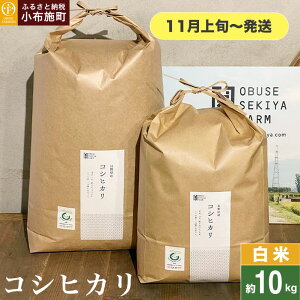 yӂ邳Ɣ[Łz RVqJ  5kg 10kg IׂeʁmԂt@[}[Yn    Ђ 쌧Yy2025N11{`z
